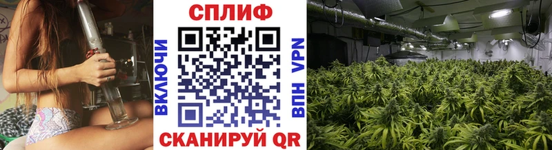 Конопля Bruce Banner Еманжелинск